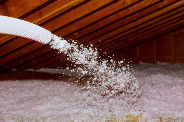 Best Home Insulation Services  in Aurora, TX