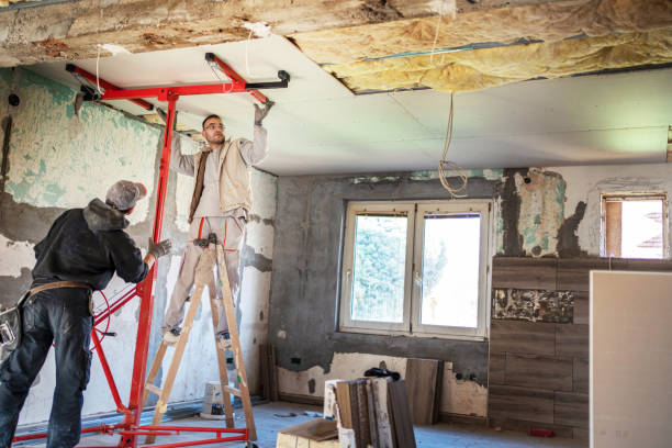 Best Cellulose Insulation  in Aurora, TX
