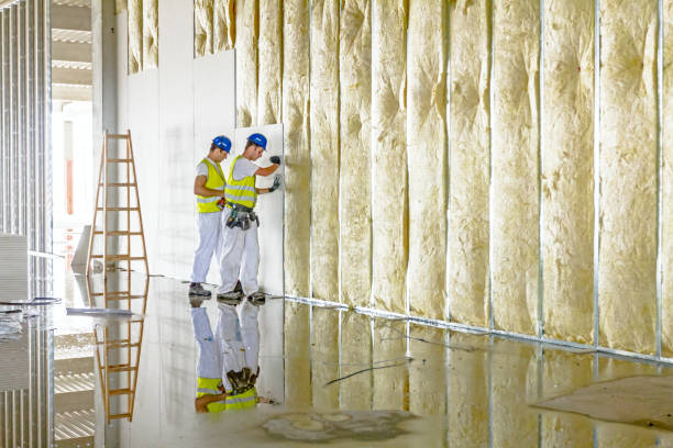 Best Energy-efficient Insulation  in Aurora, TX